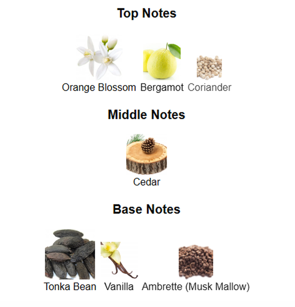 Timeless Sands by The Woods Collection EDP 3ml sample spray