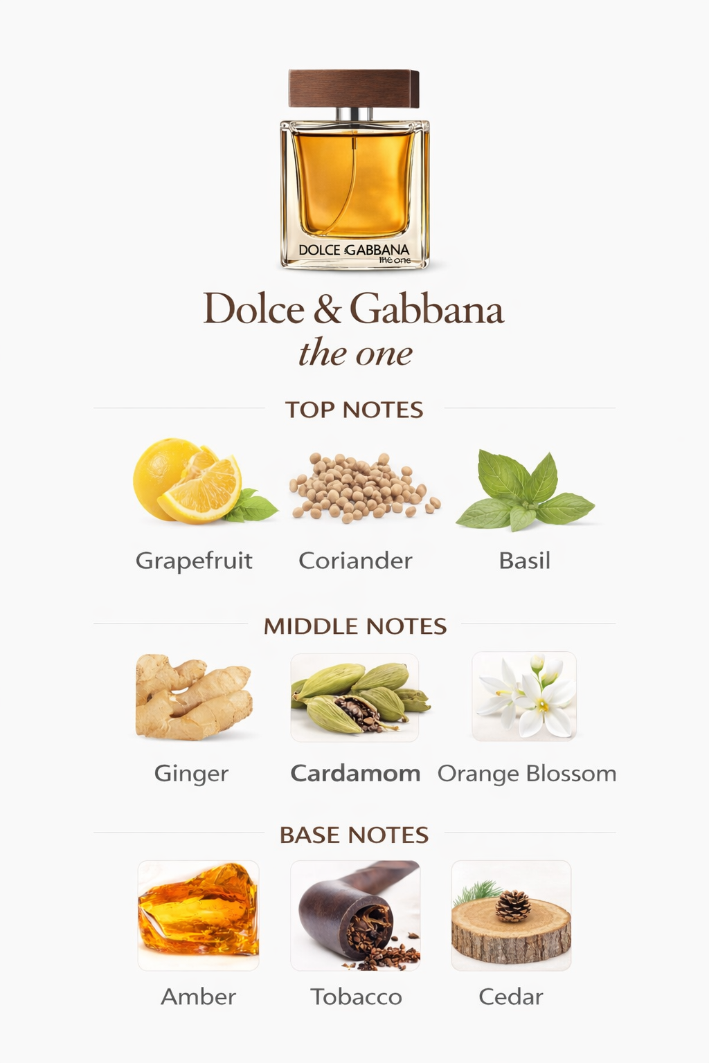 Dolce & Gabbana The One perfume bottle with notes of grapefruit, coriander, basil, ginger, cardamom, orange blossom, amber, tobacco, and cedar.